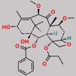 Cabazitaxel Impurity 28 CAS#: N/A