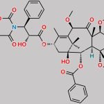 Cabazitaxel Impurity 8 CAS#: N/A