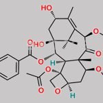 Cabazitaxel Impurity A CAS#: 183133-94-0