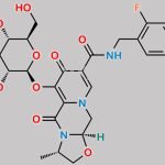 Cabotegravir O-glucuronide M2 CAS#: 2170827-76-4