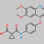 Cabozantinib Carboxylic Acid CAS#: 849217-77-2