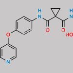 Cabozantinib Impurity 11 CAS#: 1628530-38-0