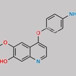 Cabozantinib Impurity 13 CAS#: 1355031-15-0