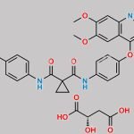 Cabozantinib (s) Malate CAS#: 1140909-48-3