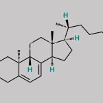 Calcifediol EP Impurity A CAS#: 61585-29-3