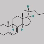 Calcifediol EP Impurity B CAS#: 22145-68-2