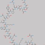 Calcitonin Salmon Impurity 4 CAS#: 110945-71-6