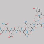 Calcitonin Salmon USP Related Compound B CAS#: 115472-96-3