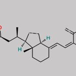 Calcitriol Lactone CAS#: 81203-50-1