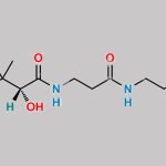 Calcium pantothenate EP Impurity E CAS#: 897045-90-8