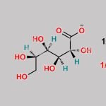 Calcium Gluconate Monohydrate CAS#: 66905-23-5