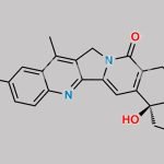 Camptothecin Impurity 4 CAS#: 124623-03-6