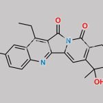 Camptothecin Impurity 5 CAS#: N/A