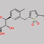 Canagliflozin Sulfone CAS#: 2639148-36-8