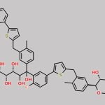 Canagliflozin Dimer Impurity CAS#: N/A