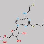 Cangrelor Impurity 6 CAS#: 847460-53-1