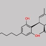 Cannabidiol Impurity 8 CAS#: 13956-30-4