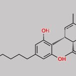 Cannabidiol Impurity 9 CAS#: 152697-81-9