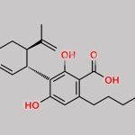 Cannabidiolic Acid CAS#: 1244-58-2