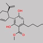 Cannabidiolic Acid Methyl Ester CAS#: 55658-71-4