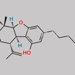 Cannabielsoin CAS#: 52025-76-0