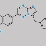 Capmatinib 13CD3 CAS#: N/A