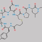 Carbetocin Impurity 3 CAS#: 69228-04-2