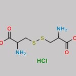Carbocisteine Impurity 3 CAS#: 55533-01-2