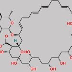 Carboxylate Ion of Nystatin CAS#: N/A