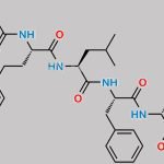 Carfilzomib (2R,4R)-Diol CAS#: 2049025-83-2