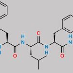 Carfilzomib (2S,4R)-Diol CAS#: N/A