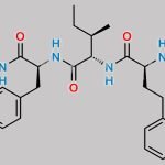 Carfilzomib Impurity 18 CAS#: N/A