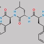 Carfilzomib Impurity 21 CAS#: N/A