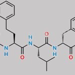Carfilzomib Impurity 28 CAS#: 2049025-49-0