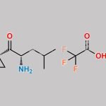 Carfilzomib Impurity 36 CAS#: 1528769-14-3