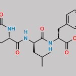 Carfilzomib Impurity 39 CAS#: 2049024-22-6
