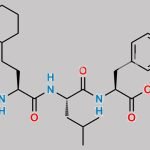 Carfilzomib Impurity 45 CAS#: 2768679-89-4