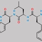 Carfilzomib Impurity 53 CAS#: 2049025-45-6