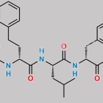 Carfilzomib Impurity 55 CAS#: 2419266-62-7