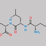 Carfilzomib Impurity 61 CAS#: 1545468-80-1
