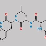 Carfilzomib Impurity 69 CAS#: 254888-42-1