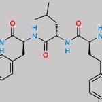 Carfilzomib Impurity 7 (RRSSS) CAS#: 2049025-76-3