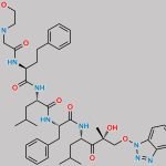 Carfilzomib Impurity 70 CAS#: 1541171-68-9