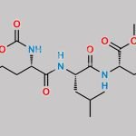 Carfilzomib Impurity 72 CAS#: 868539-96-2