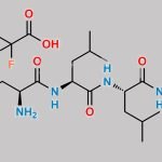Carfilzomib Impurity 76 CAS#: N/A