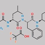 Carfilzomib Impurity 79 CAS#: N/A