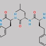 Carfilzomib Impurity 8 (SSSS) CAS#: 1660143-42-9
