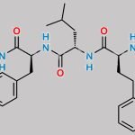 Carfilzomib Impurity 9 (RSSSS) CAS#: 868540-22-1