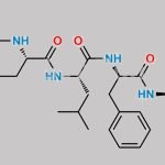 Carfilzomib Impurity B CAS#: N/A