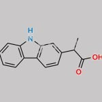 Carprofen EP Impurity B CAS#: 52263-68-0